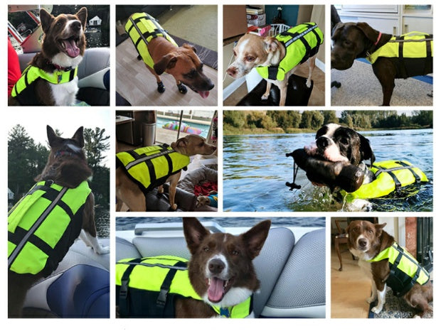 Inflatable Swimming Fabric for Dogs