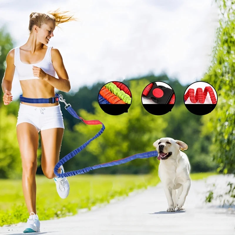 Hands-Free Dog Collar Retractable Bungee Leash Harness Set