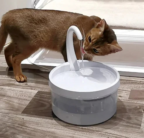 2L Automatic Swan Neck Cat Water Fountain USB LED