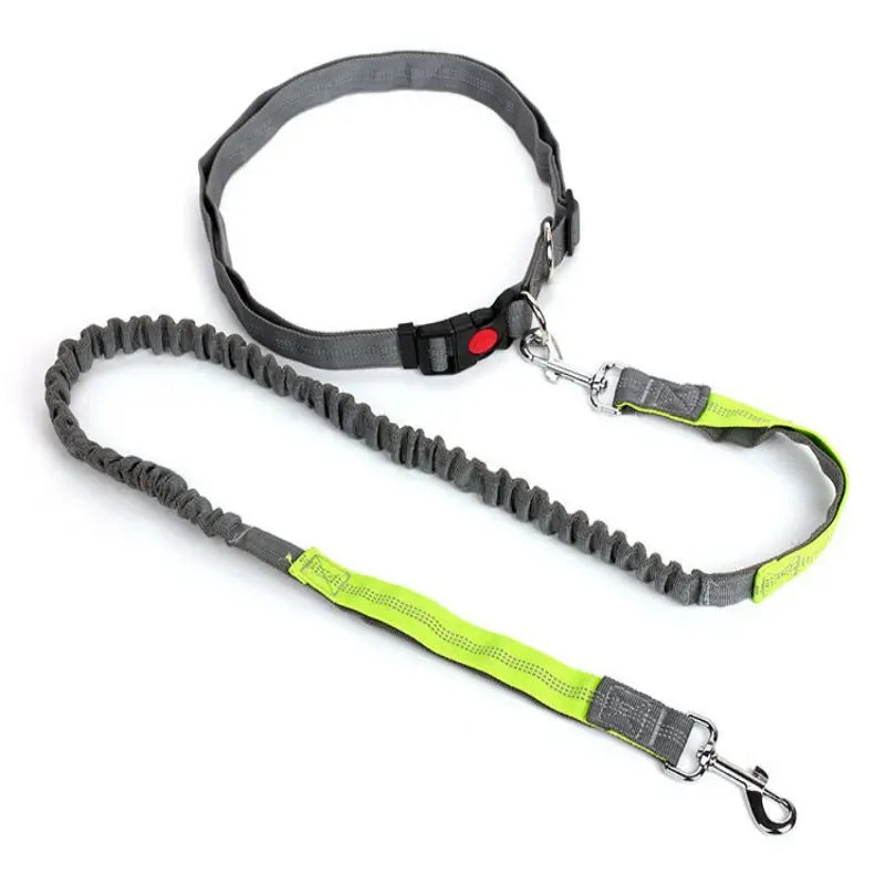 Hands-Free Dog Collar Retractable Bungee Leash Harness Set