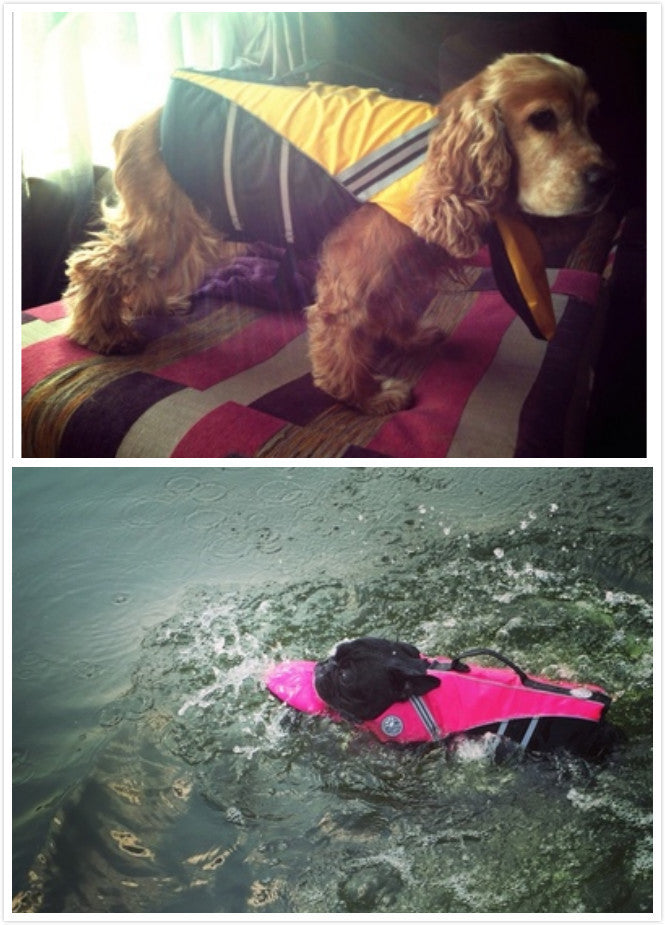 Life Saving Swimming Vest for Dogs