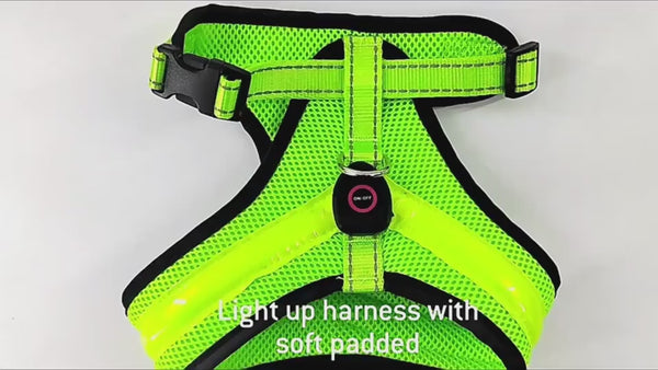 LED Luminous Dog Harness