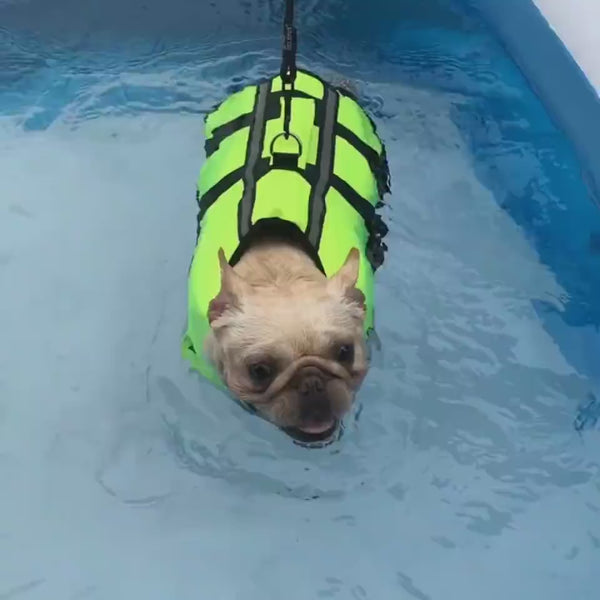 Inflatable Swimming Fabric for Dogs