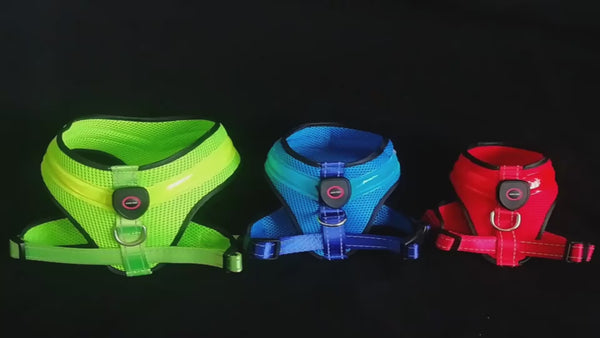 LED Luminous Dog Harness